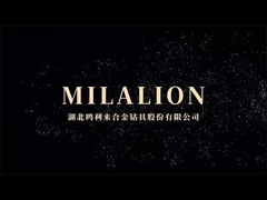 Exposição Bauma 2024